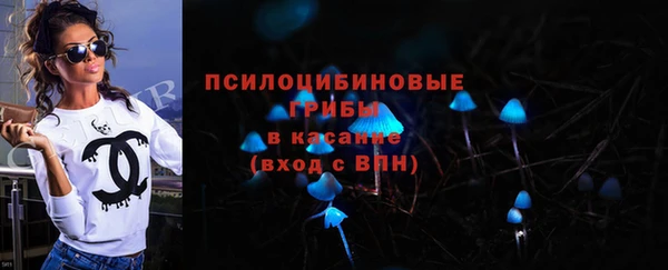apvp Алзамай