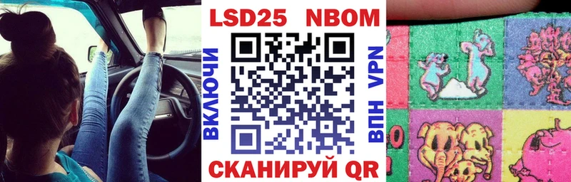 это как зайти  Большой Камень  Марки NBOMe 1,5мг  как найти наркотики 