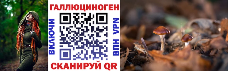 продажа наркотиков  OMG зеркало  Галлюциногенные грибы GOLDEN TEACHER  Большой Камень 